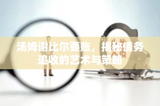 汤姆谢比尔要账，揭秘债务追收的艺术与策略