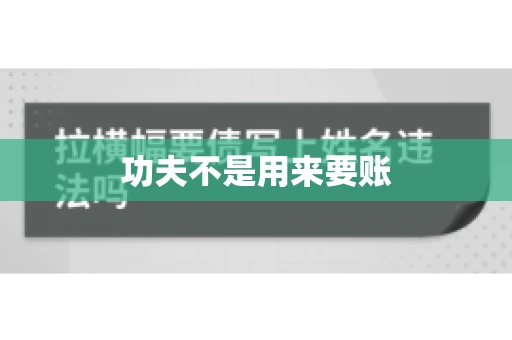 功夫不是用来要账