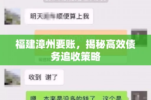 福建漳州要账，揭秘高效债务追收策略