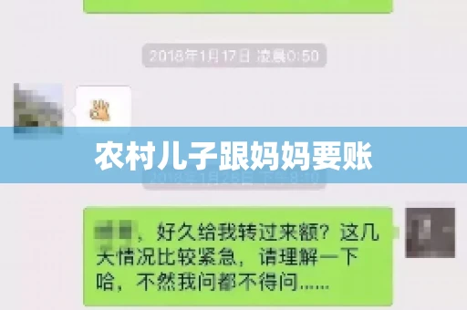 农村儿子跟妈妈要账 农村儿子跟妈妈要账
