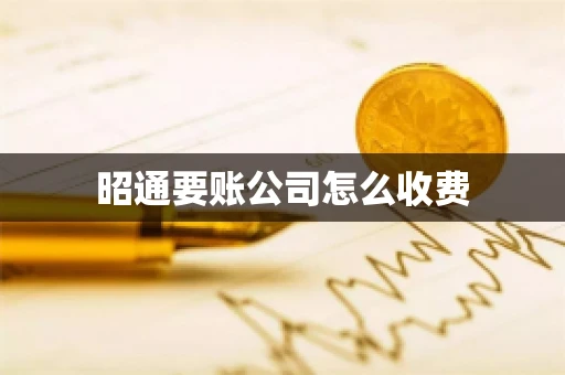 昭通要账公司怎么收费