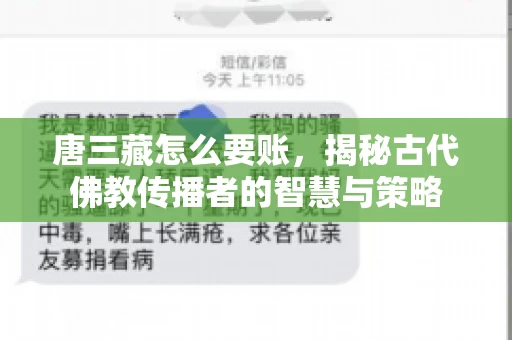 唐三藏怎么要账,揭秘古代佛教传播者的智慧与策略 唐三藏怎么要账,揭秘古代佛教传播者的智慧与策略