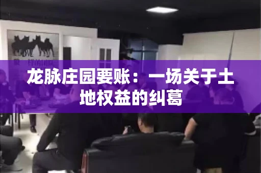 龙脉庄园要账：一场关于土地权益的纠葛