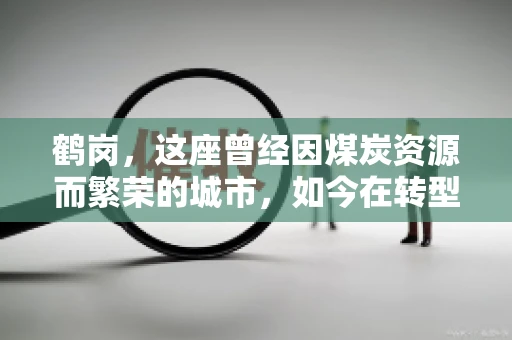 鹤岗，这座曾经因煤炭资源而繁荣的城市，如今在转型中寻求新的发展路径。在这座城市中，有一家名为“鹤岗要账公司”的企业，它以专业的服务，在众多企业中脱颖而出。今天，就让我们一起来了解一下这家公司，看看它是如何在这个充满挑战的市场中立足的。