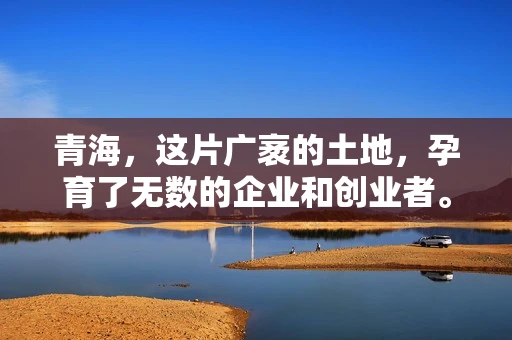 青海，这片广袤的土地，孕育了无数的企业和创业者。然而，在商业活动中，难免会遇到一些欠款问题。这时候，找一家专业的要账公司就显得尤为重要。那么，青海专业要账公司的电话是多少呢？今天，我就来和大家聊聊这个话题。