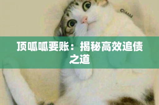 顶呱呱要账：揭秘高效追债之道
