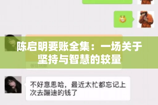 陈启明要账全集：一场关于坚持与智慧的较量