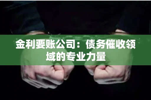 金利要账公司：债务催收领域的专业力量