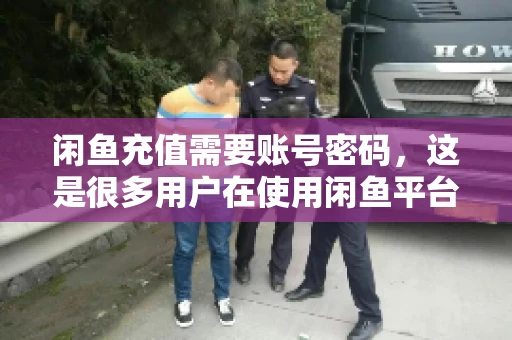 闲鱼充值需要账号密码，这是很多用户在使用闲鱼平台时都会遇到的问题。今天，我就来和大家聊聊这个话题，希望能帮助大家更好地了解闲鱼充值的相关事宜。